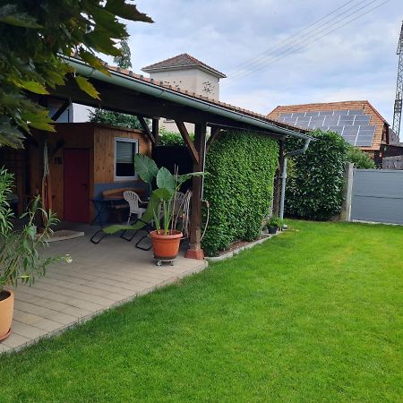 Haus Schneider Daire Kappel-Grafenhausen Dış mekan fotoğraf