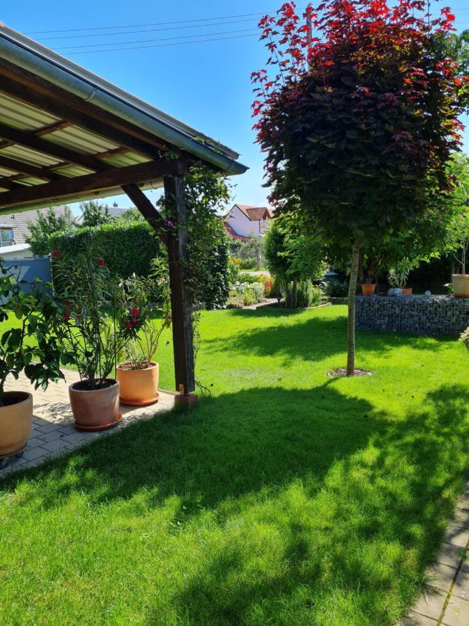 Haus Schneider Daire Kappel-Grafenhausen Dış mekan fotoğraf
