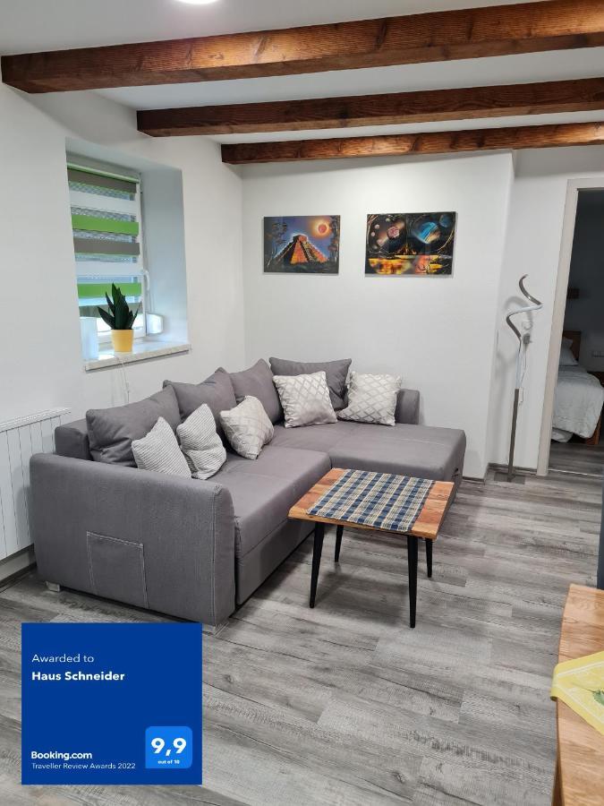 Haus Schneider Daire Kappel-Grafenhausen Dış mekan fotoğraf